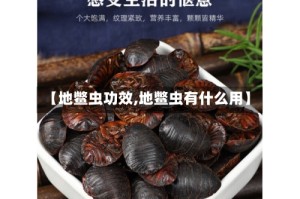 【地鳖虫功效,地鳖虫有什么用】