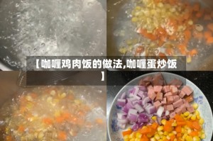 【咖喱鸡肉饭的做法,咖喱蛋炒饭】