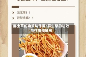 鲜虫草的功效与作用/鲜虫草的功效与作用和禁忌