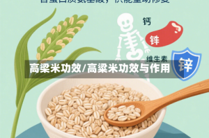 高梁米功效/高粱米功效与作用