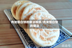 肉加馍白饼的做法视频/肉夹馍白饼的做法