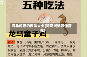 海马炖汤的做法大全(海马煲汤最佳搭配)