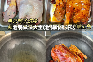 老鸭做法大全(老鸭咋做好吃)
