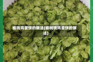 榆钱鸡蛋饼的做法(榆树钱鸡蛋饼的做法)