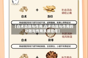 【白术功效与作用,白术功效与作用的功效与作用及禁忌症】
