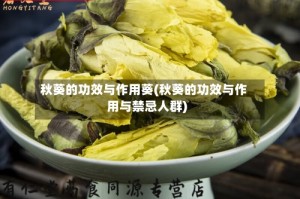 秋葵的功效与作用葵(秋葵的功效与作用与禁忌人群)