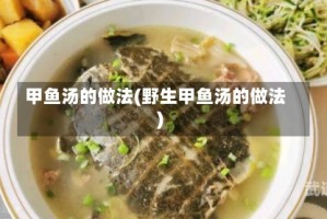 甲鱼汤的做法(野生甲鱼汤的做法)