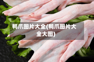 鸭爪图片大全(鸭爪图片大全大图)