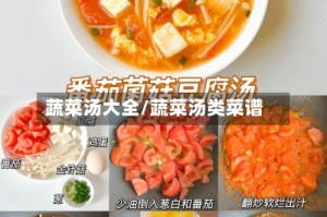 蔬菜汤大全/蔬菜汤类菜谱