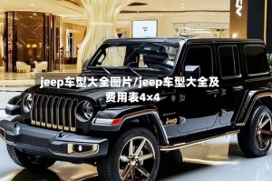 jeep车型大全图片/jeep车型大全及费用表4×4