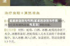 蛇皮的功效与作用(蛇皮的功效与作用与主治)