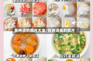 各种汤的图片大全/各种汤类的图片