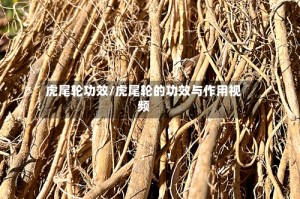 虎尾轮功效/虎尾轮的功效与作用视频