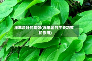 淫羊藿叶的功效(淫羊藿的主要功效和作用)