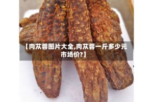 【肉苁蓉图片大全,肉苁蓉一斤多少元市场价?】