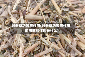 败酱草功效与作用(败酱草功效与作用的功效和作用是什么)