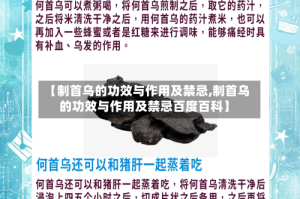 【制首乌的功效与作用及禁忌,制首乌的功效与作用及禁忌百度百科】