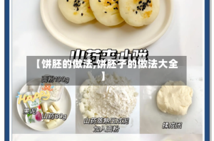 【饼胚的做法,饼胚子的做法大全】