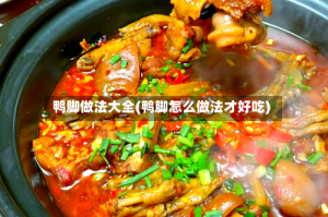鸭脚做法大全(鸭脚怎么做法才好吃)