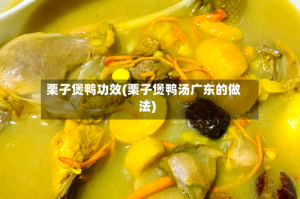 栗子煲鸭功效(栗子煲鸭汤广东的做法)