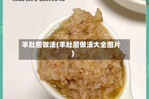 羊肚菌做法(羊肚菌做法大全图片)