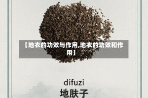 【地衣的功效与作用,地衣的功效和作用】