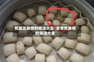 死面芝麻饼的做法大全/家常死面饼的做法大全