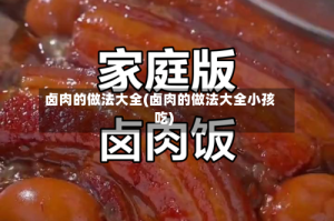 卤肉的做法大全(卤肉的做法大全小孩吃)