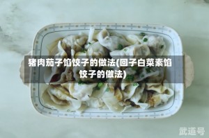 猪肉茄子馅饺子的做法(回子白菜素馅饺子的做法)
