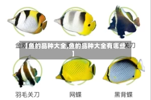 【鱼的品种大全,鱼的品种大全有哪些】