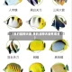 【鱼的品种大全,鱼的品种大全有哪些】