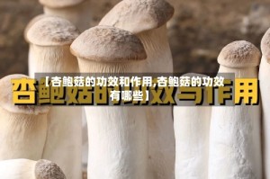 【杏鲍菇的功效和作用,杏鲍菇的功效有哪些】