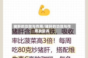 猪肝的功效与作用/猪肝的功效与作用及营养