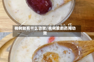 桃树胶有什么功效/桃树胶的药用功效