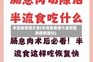 半流食食谱大全(半流食食谱大全和营养搭配建议)