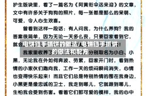 电饼铛手抓饼的做法/电饼铛手抓饼的做法和配方