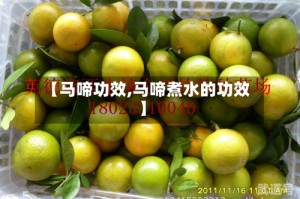 【马啼功效,马啼煮水的功效】