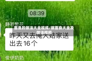 面鱼的做法大全视频/做面食大全及做法视频