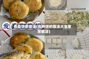 各类饼的做法(各种饼的做法大全家常做法)