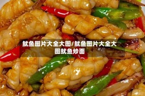 鱿鱼图片大全大图/鱿鱼图片大全大图鱿鱼炒面