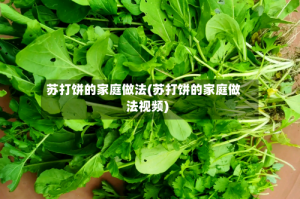 苏打饼的家庭做法(苏打饼的家庭做法视频)