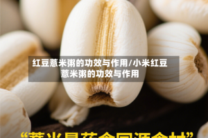 红豆薏米粥的功效与作用/小米红豆薏米粥的功效与作用