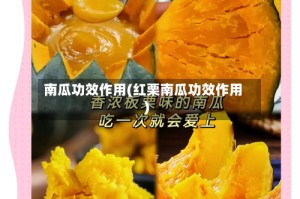 南瓜功效作用(红栗南瓜功效作用)