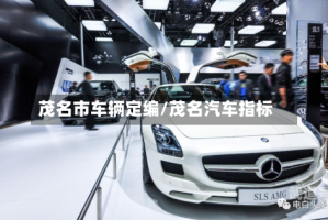 茂名市车辆定编/茂名汽车指标