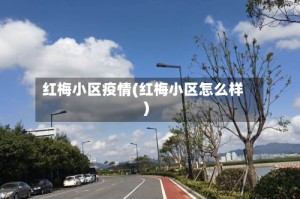 红梅小区疫情(红梅小区怎么样)