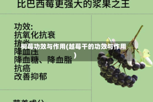树莓功效与作用(越莓干的功效与作用)