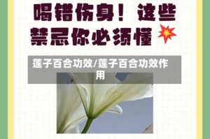 莲子百合功效/莲子百合功效作用
