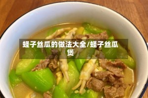 蛏子丝瓜的做法大全/蛏子丝瓜煲