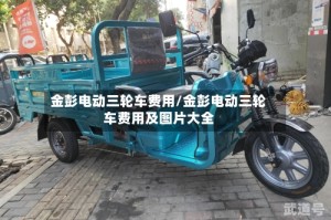 金彭电动三轮车费用/金彭电动三轮车费用及图片大全