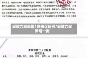 安徽六安新增1例确诊病例/安徽六安新增一例